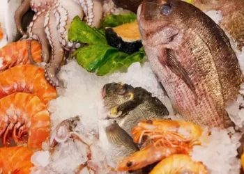 أسعار السمك اليوم الثلاثاء في سوق الجملة