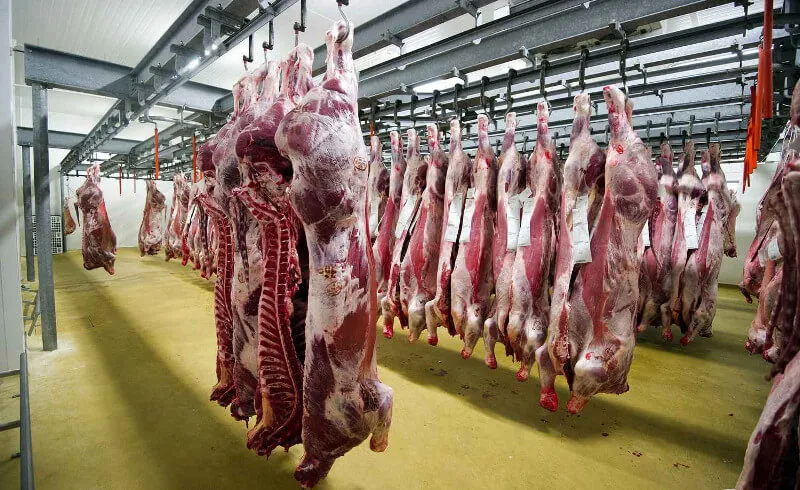 مصر والبرازيل تعززان العلاقات التجارية لواردات اللحوم بـ”الإدراج المسبق”
