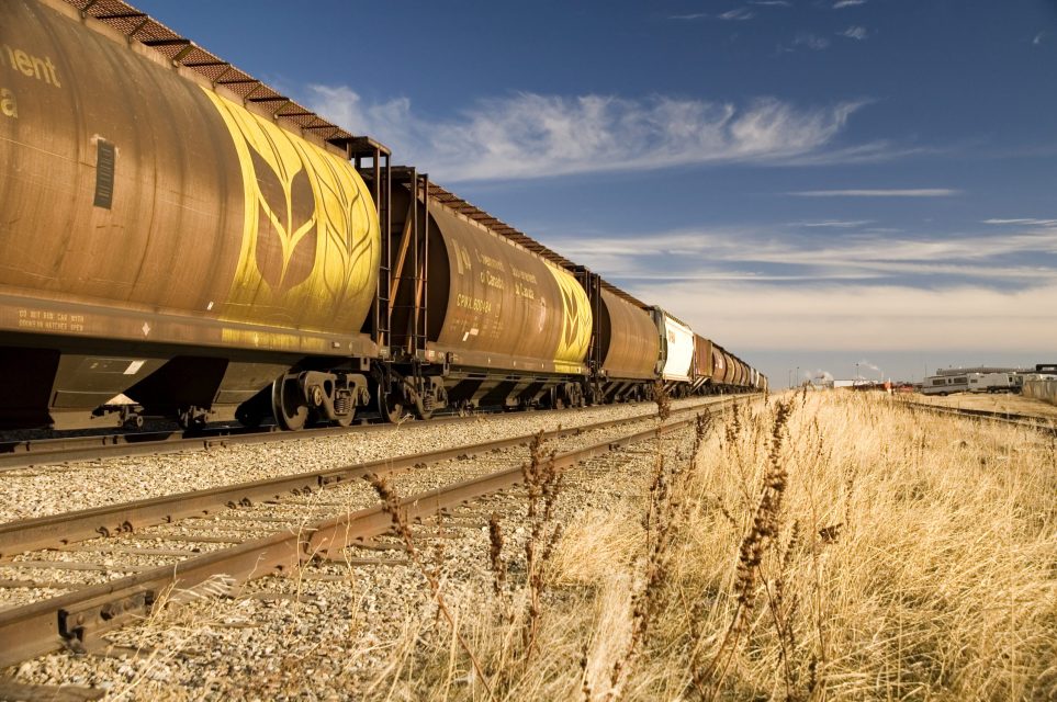 كازاخستان تصدر أكثر من 0.5 مليون طن من شحنات الحبوب عبر السكك الحديدية