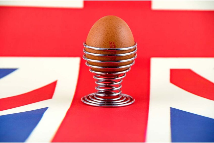 مخاوف في بريطانيا بشأن نزوح ربع منتجي البيض وسط ارتفاع تكلفة الإنتاج| تفاصيل