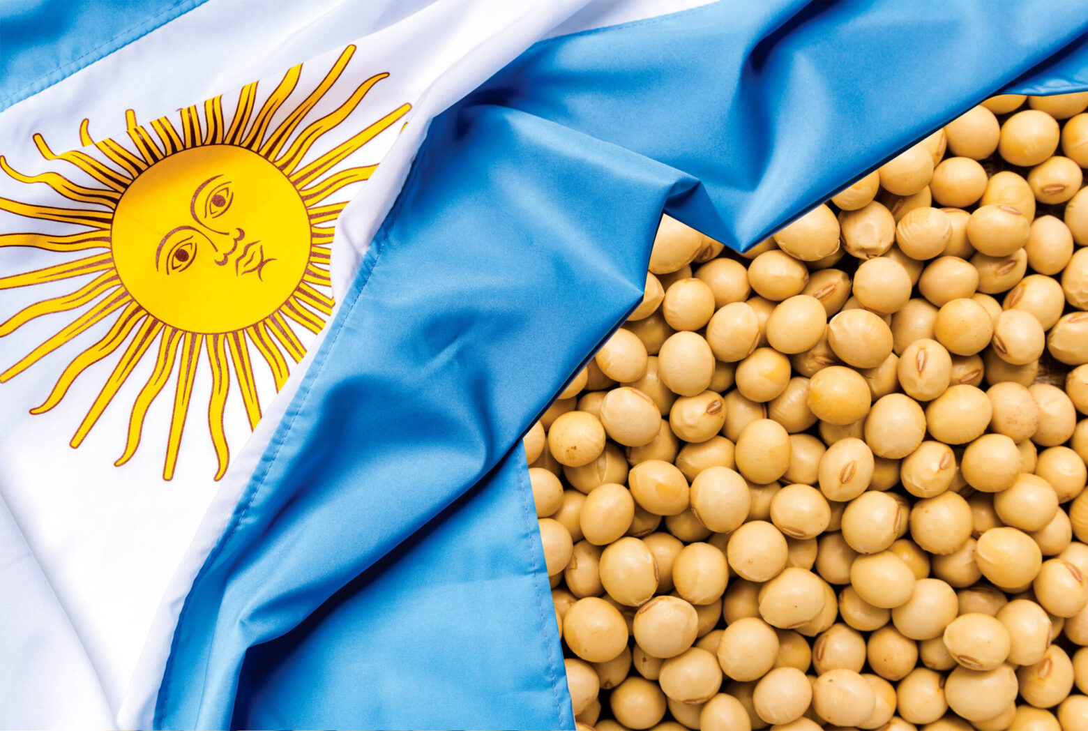 مبيعات فول الصويا الأرجنتيني تتجاوز 5 مليون طن خلال الموسم الحالي