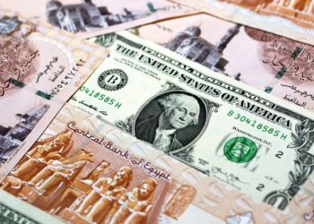 رئيس شعبة المواد الغذائية: البنك المركزي يطلق مناورة استراتيجية لمحاصرة التضخم