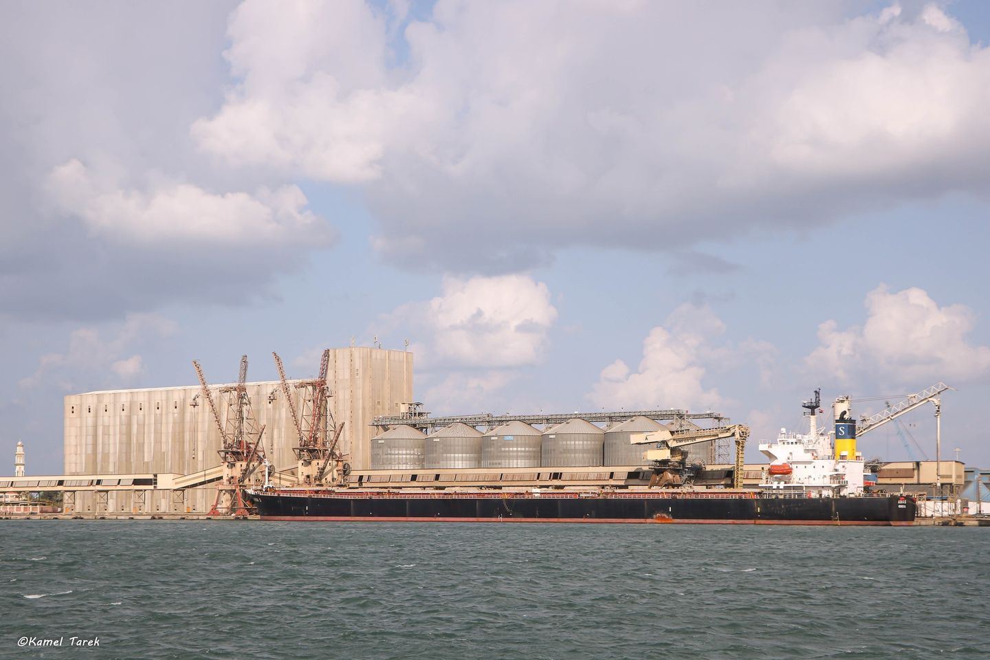 ميناء دمياط يستقبل 744 طن ذرة و 3800 طن كسب فول صويا و 5802 رأس ماشية