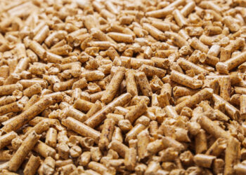 المصرية الهولندية للأعلاف: متوسط تكلفة العلف في الوقت الراهن تصل إلى 21600 جنيه