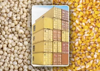 خاص| هل تخضع الذرة وباقي الخامات للفحص وسحب العينات بالموانئ؟ أحمد العكازي يجيب