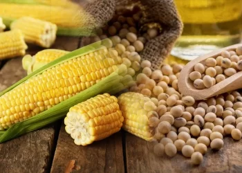 خاص| مستورد خامات يكشف مصير الأسعار خلال الفترة القادمة بعد الارتفاع الأخير