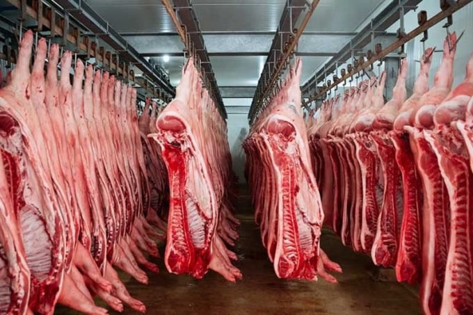 الجزائر تستورد 100 ألف طن من اللحوم الحمراء لتلبية احتياجات شهر رمضان