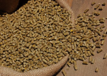 الحمد للأعلاف: المصانع تؤمن احتياجاتها من الخامات لمدة شهر.. والجميع تعلم الدرس