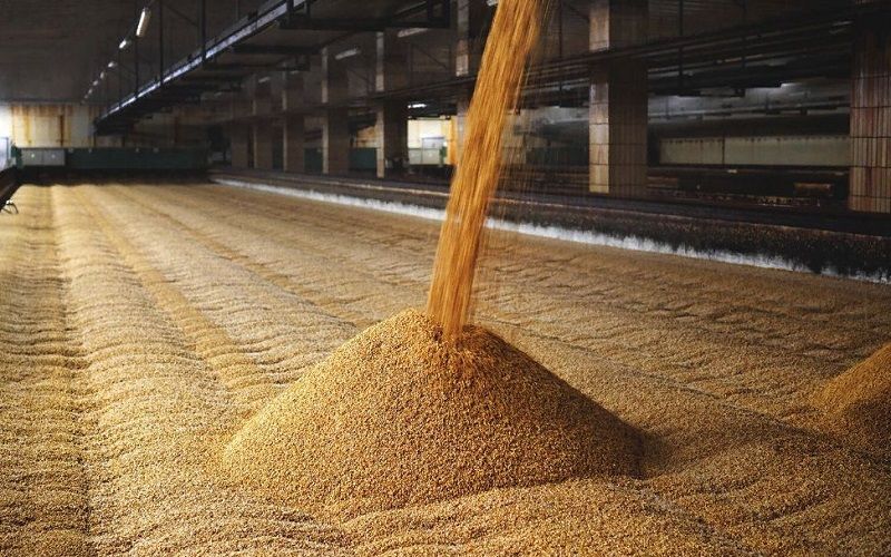 انخفاض إنتاج الحبوب في مالي إلى 9.9 مليون طن بالموسم الزراعي 2023-24
