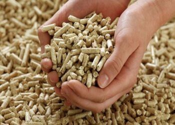 نائبة برلمانية: ارتفاع أسعار اللحوم والدواجن بعد قرار الإفراج عن الأعلاف غير مبرر