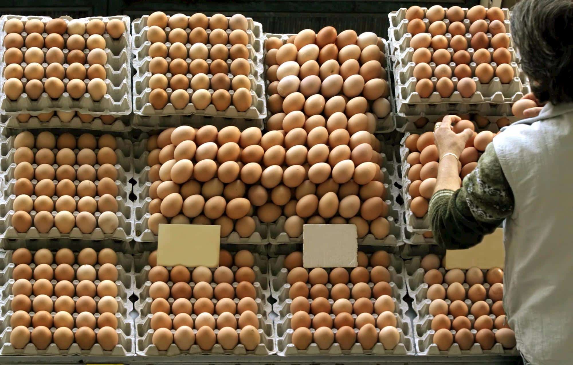خاص| لماذا لا تنخفض أسعار البيض؟ الشعبة تجيب
