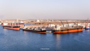 ميناء دمياط يستقبل 11940 طن ذرة خلال 24 ساعة