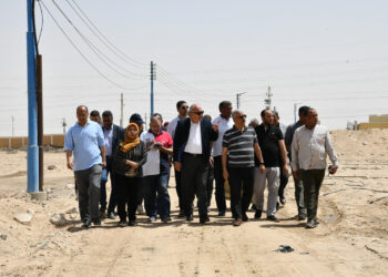 بدء استصلاح وزراعة 400 فدان بمحاصيل فول الصويا والبرسيم لإنتاج الأعلاف في قنا