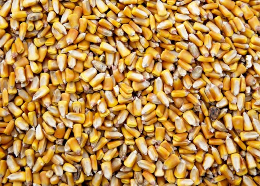 صادرات الحبوب الأوكرانية تتجاوز 5 ملايين طن في أبريل