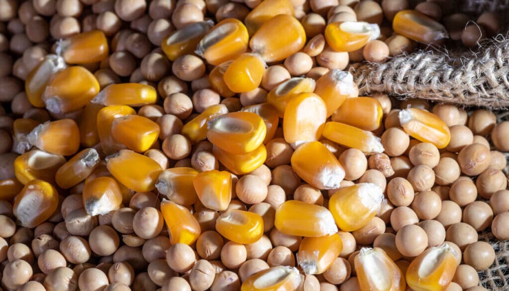 "كارجيل" و"نستله بورينا" توقعان شراكة للاستثمار في زراعة وتوريد الذرة وفول الصويا بالولايات المتحدة