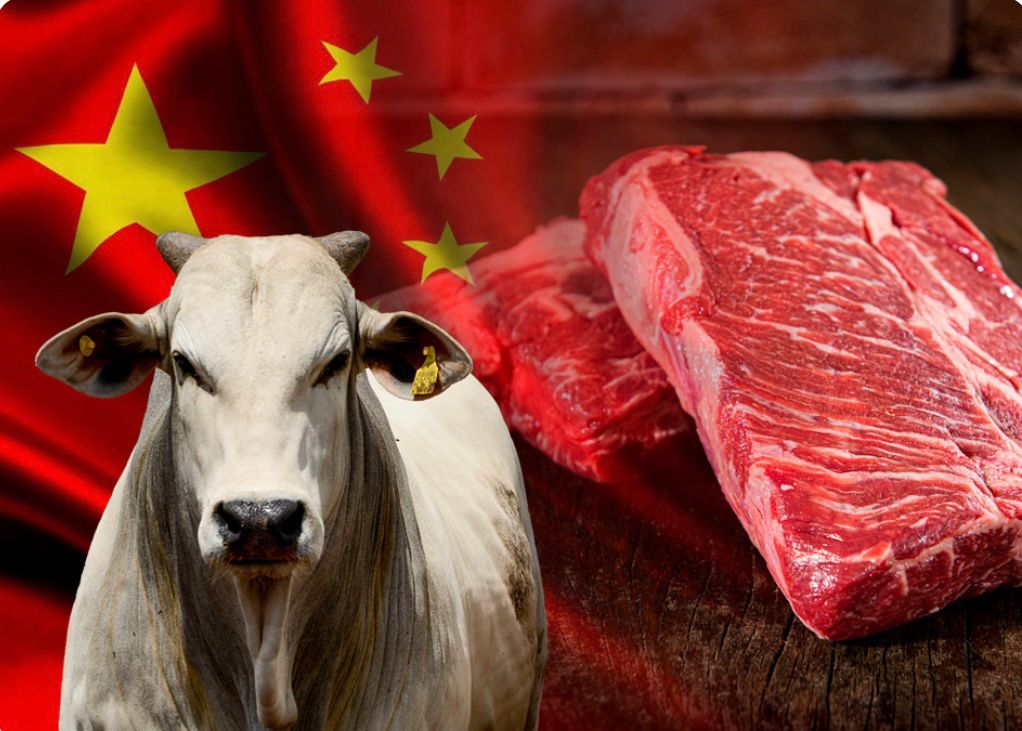واردات الصين من لحوم البقر تنخفض للمرة الأولى منذ عام 2016.. والأسعار في أدنى مستوى لها منذ 3 سنوات