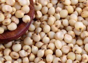 صادرات فول الصويا الأمريكية إلى الصين تتضاءل مع تعزيز الأرجنتين للإمدادات