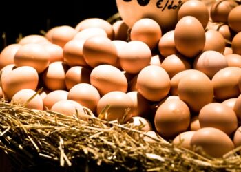 خاص| الصحراوي: زيادة أرصدة البيض في المزارع والمحال التجارية سيحول دون ارتفاع الأسعار الأيام المقبلة