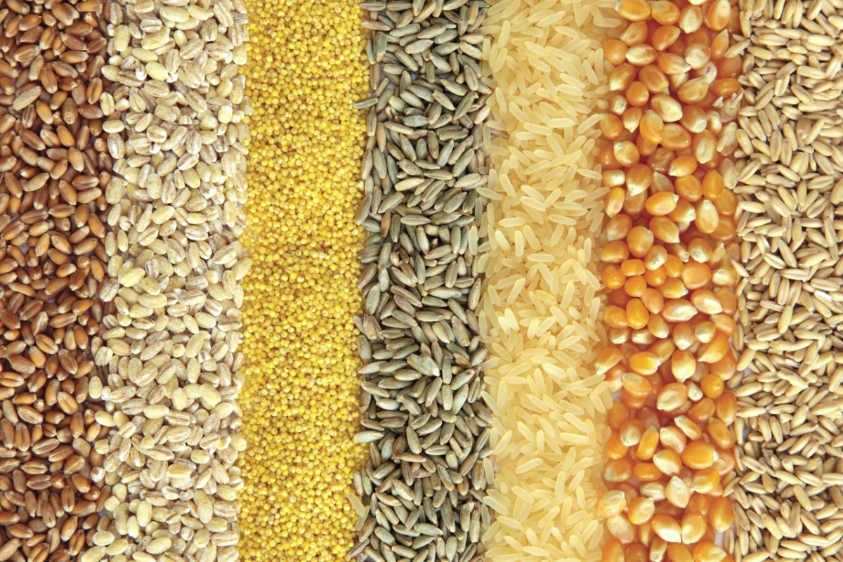 أوكرانيا تصدر أكثر من 39.4 مليون طن من الحبوب