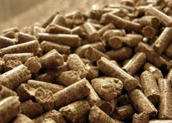 الحمد للأعلاف : هناك وفرة لدى المصانع من مستلزمات الإنتاج من الخامات العلفية