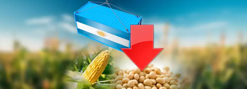 مبيعات فول الصويا والذرة في الأرجنتين عند 16.21 مليون طن