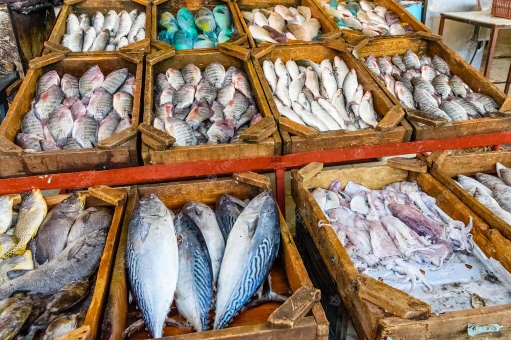 شعبة الأسماك: "الوسطاء" وراء الاتفاع غير المبرر في ارتفاع أسعار السمك