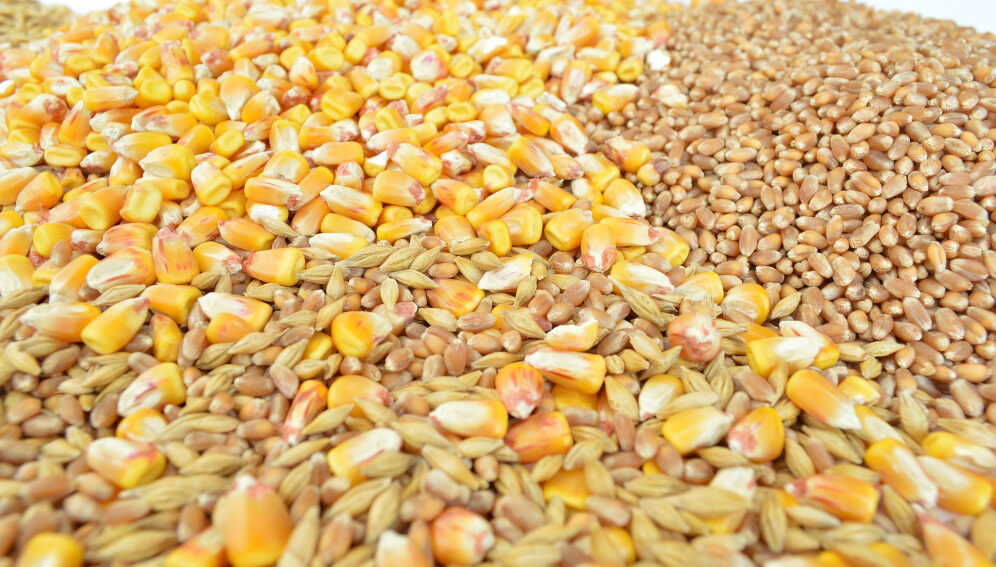 صادرات الحبوب الأوكرانية تصل إلى 4.5 مليون طن في أبريل