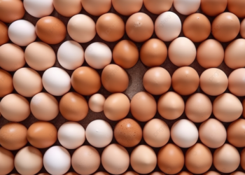 الصحراوي: الأسبوع القادم سيحدد مصير أسعار البيض صعود أم هبوط