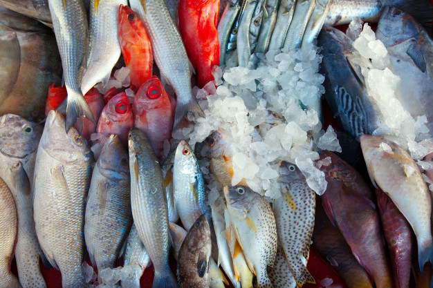 مصر في المرتبة الأخيرة.. تعرف على أعلى 10 دول منتجة للأسماك في العالم 2024