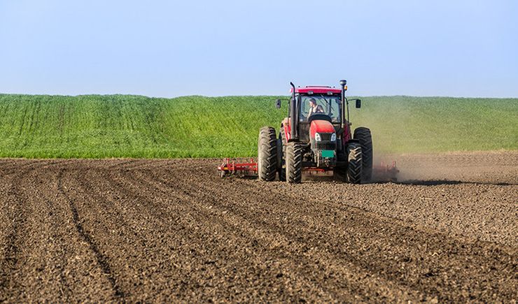 أوكرانيا تزرع 375.4 ألف هكتار من الحبوب والبقول الأسبوع الماضي