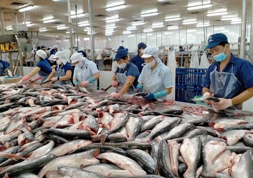 "الصين والولايات المتحدة واليابان" أكبر مستوردي المنتجات السمكية الفيتنامية في الربع الأول