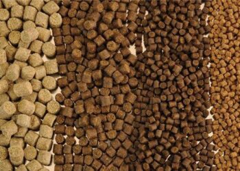 سكريتنج إيجيبت : المُزارعين يلجاون لحجز الأسماك وتأجيل البيع لتجنب المقاطعة