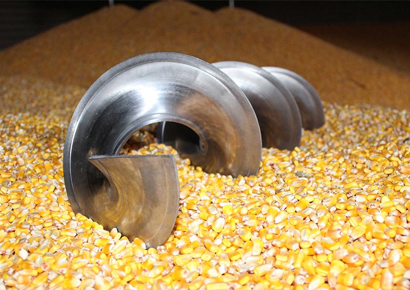 عمليات التفتيش الأسبوعية على صادرات الذرة في الموانئ الأمريكية ترتفع نسبة 21٪