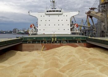 أوكرانيا تنقل أكبر كمية من الحبوب في السنوات الأربع الماضية