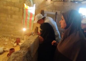 مزارع الدواجن