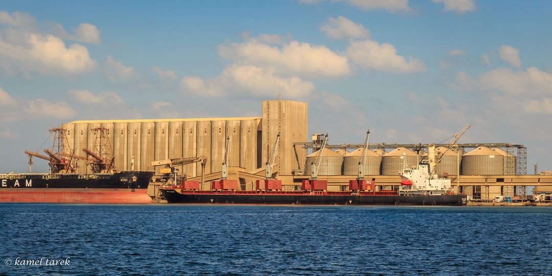 ميناء دمياط يستقبل 17740 طن ذرة و 16738 طن فول صويا