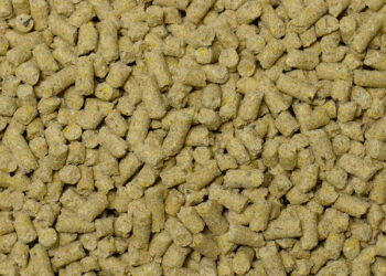 العبور للأعلاف تنفي وجود أي عمليات تخزين بعد ارتفاع أسعار الخامات