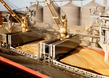 حركة سفن الذرة بالموانئ المصرية