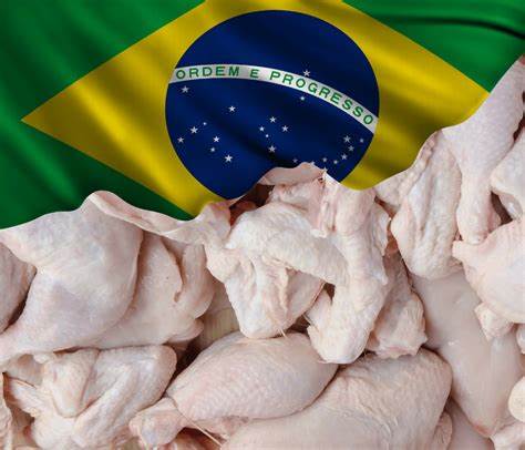 صادرات لحوم الدواجن البرازيلية تسجل 817.044.554 دولاراً في أبريل
