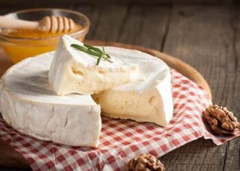 تحسين جودة و سلامة الجبن الطري من خلال التقنيات المبتكرة