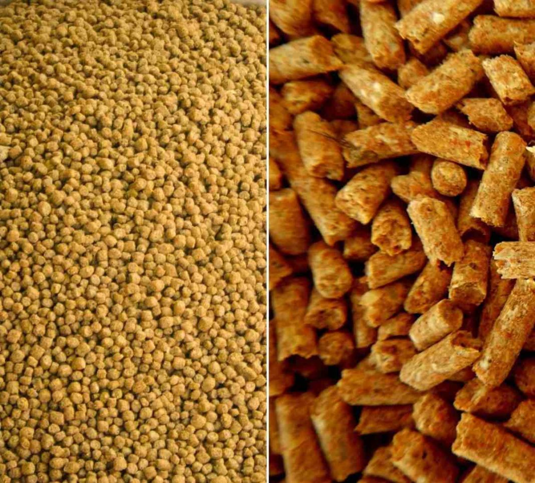 مصر تتطلع إلى العمل مع بيلاروسيا في إنتاج أعلاف الماشية