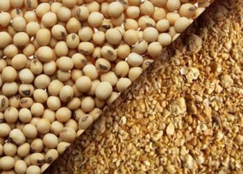 العقود الآجلة لفول الصويا تختتم التعاملات الأسبوعية بارتفاع وسط صعود أسعار الكسب