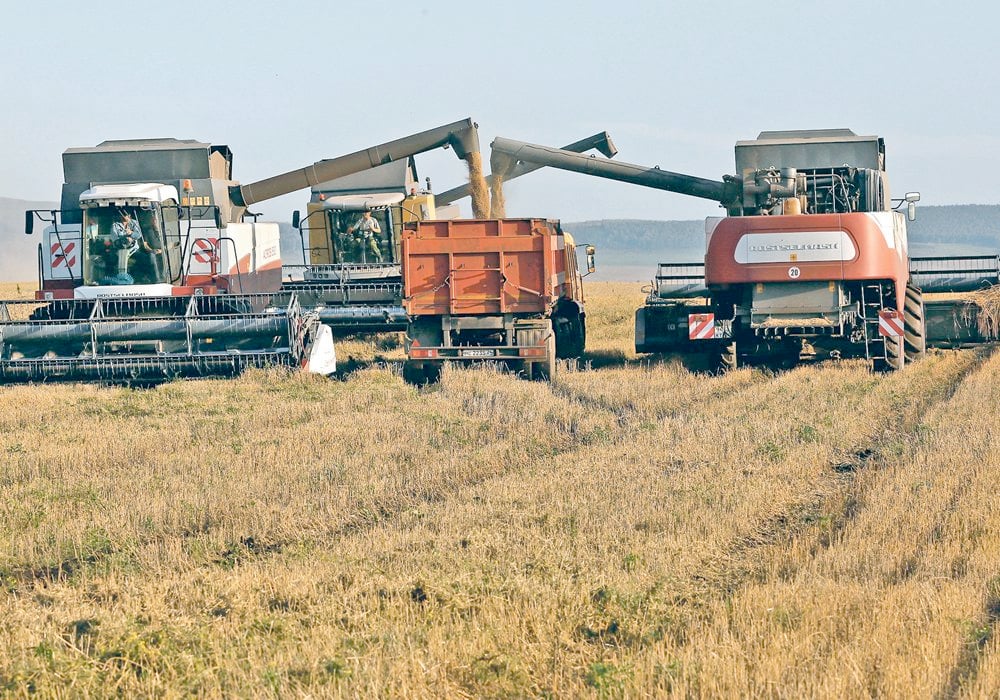 الاتحاد الأوروبي يفرض رسوما جمركية على الحبوب والبذور الزيتية الروسية