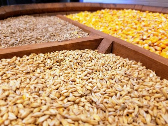 أوكرانيا تصدر أكثر من مليون طن من الحبوب في الأسبوع الأول لشهر مايو