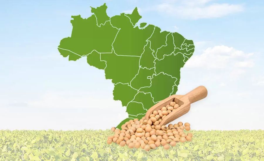 صادرات فول الصويا البرازيلي 5.87 مليون طن في الأسبوعين الأولين من شهر مايو