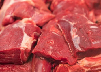 صادرات لحوم البقر البرازيلية ترتفع في الأسبوع الثالث من شهر مايو