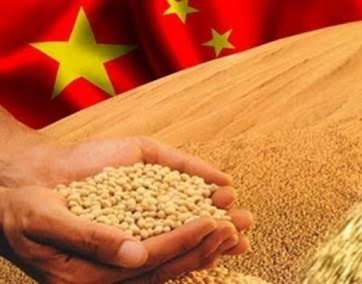 واردات الصين من الذرة ترتفع 17.6% في أبريل 