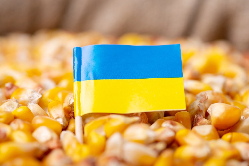 صادرات الذرة الأوكرانية تتجاوز 23 مليون طن منذ بداية العام التسويقي 2023-2024
