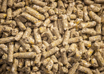 النعماني للأعلاف