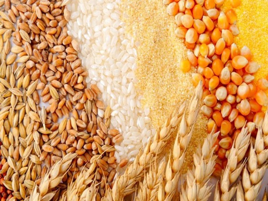 روسيا تخفض ضريبة تصدير القمح.. وتترك الذرة والشعير دون رسوم في الفترة من 15 إلى 21 مايو
